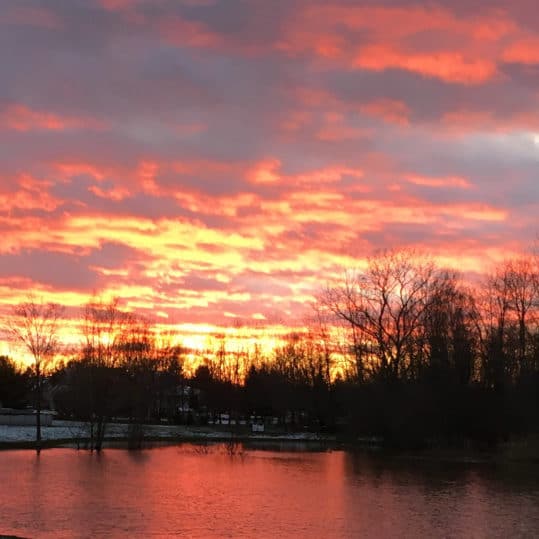 Contact Us Today before the Sun Sets